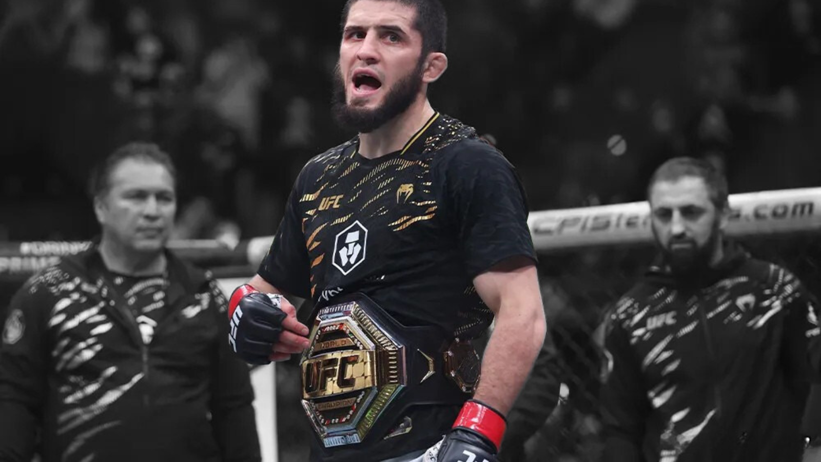 ufc 311 makhachev dvalishvili nurmagomedov moicano