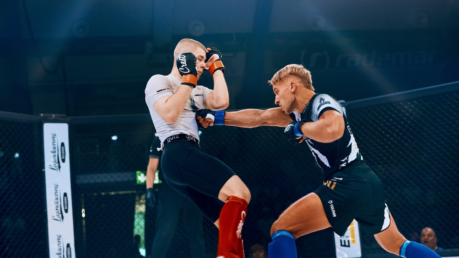 MMA Tartu Eesti mma meistrivõistlused 2024