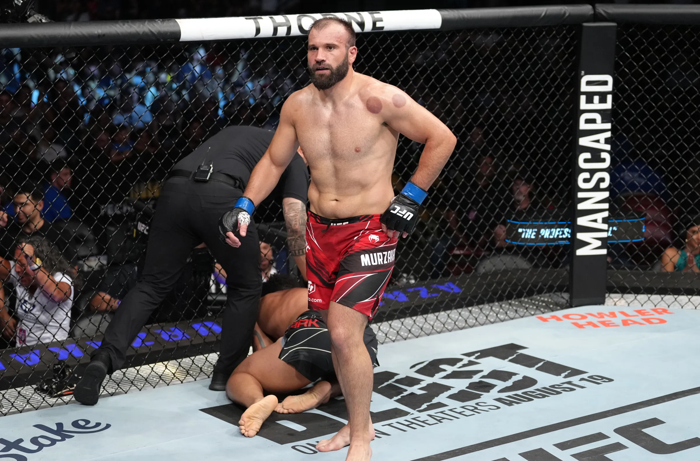 MMA fight outcomes explained with referee stoppage