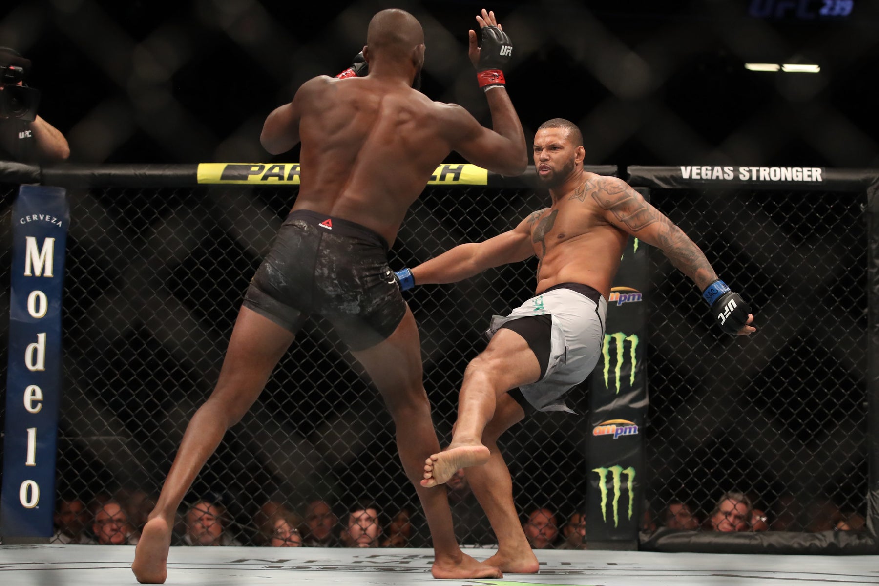 Calf kick in MMA: setups and counters