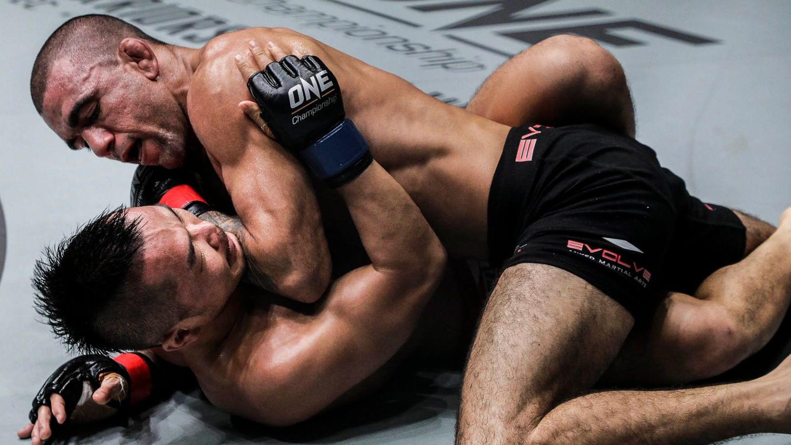 Ground and pound in MMA explained: learn the key positions, how judges score it, classic specialists, plus practical tips to attack or defend safely in modern fights.