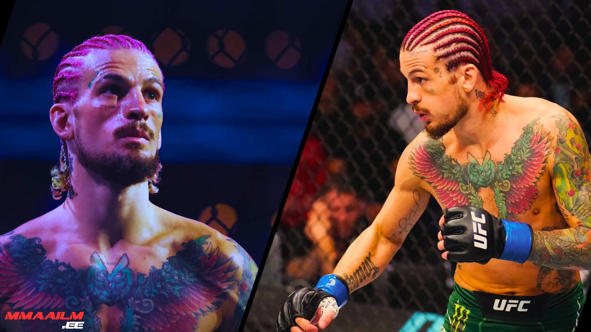 UFC 324 Results: Sean O'Malley defeats Song Yadong and calls out champion Petr Yan. We analyze the fight, the stats, and the future of the bantamweight title.