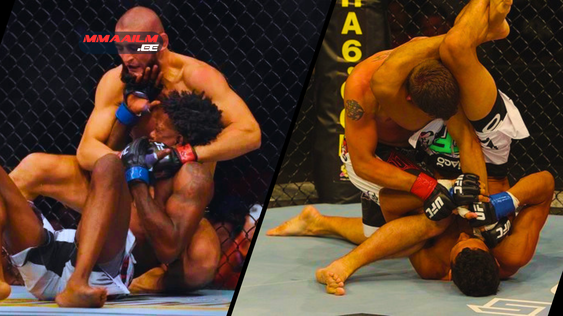 What is the best base for MMA? We analyze the statistics, history, and impact of wrestling, BJJ, and striking to find the ultimate martial arts foundation.