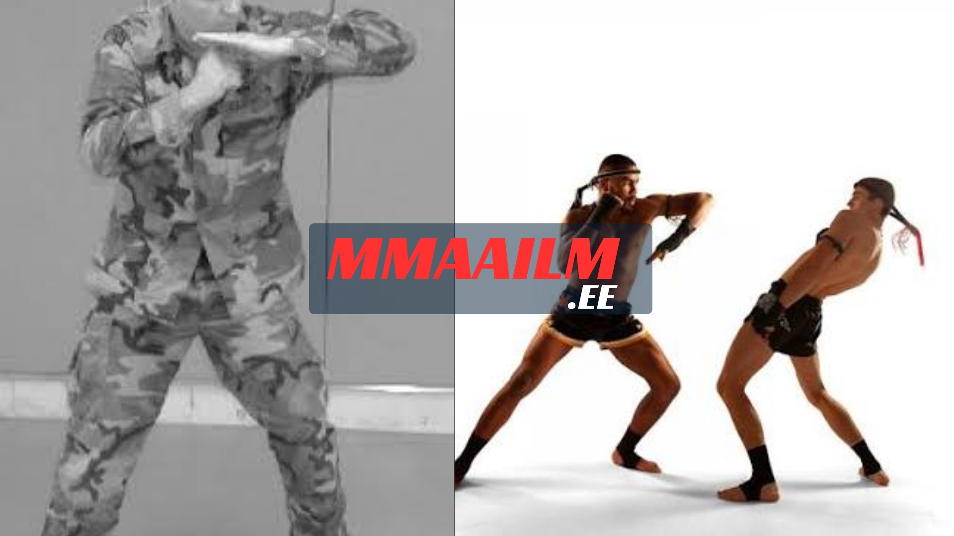 Elbow Strikes in MMA: Mechanics, Angles, and Tactics of the Short-Range Weapon