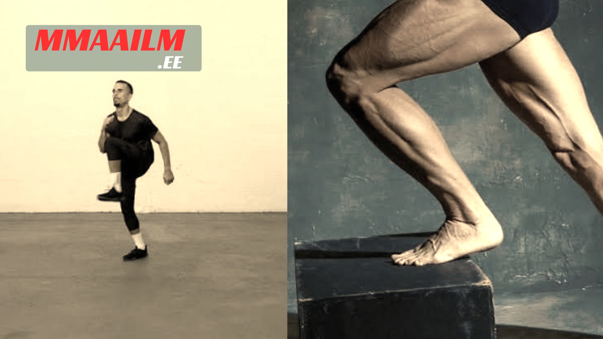 The Single Leg Takedown in MMA: Mechanics, Chain Wrestling, and the Art of Finishing