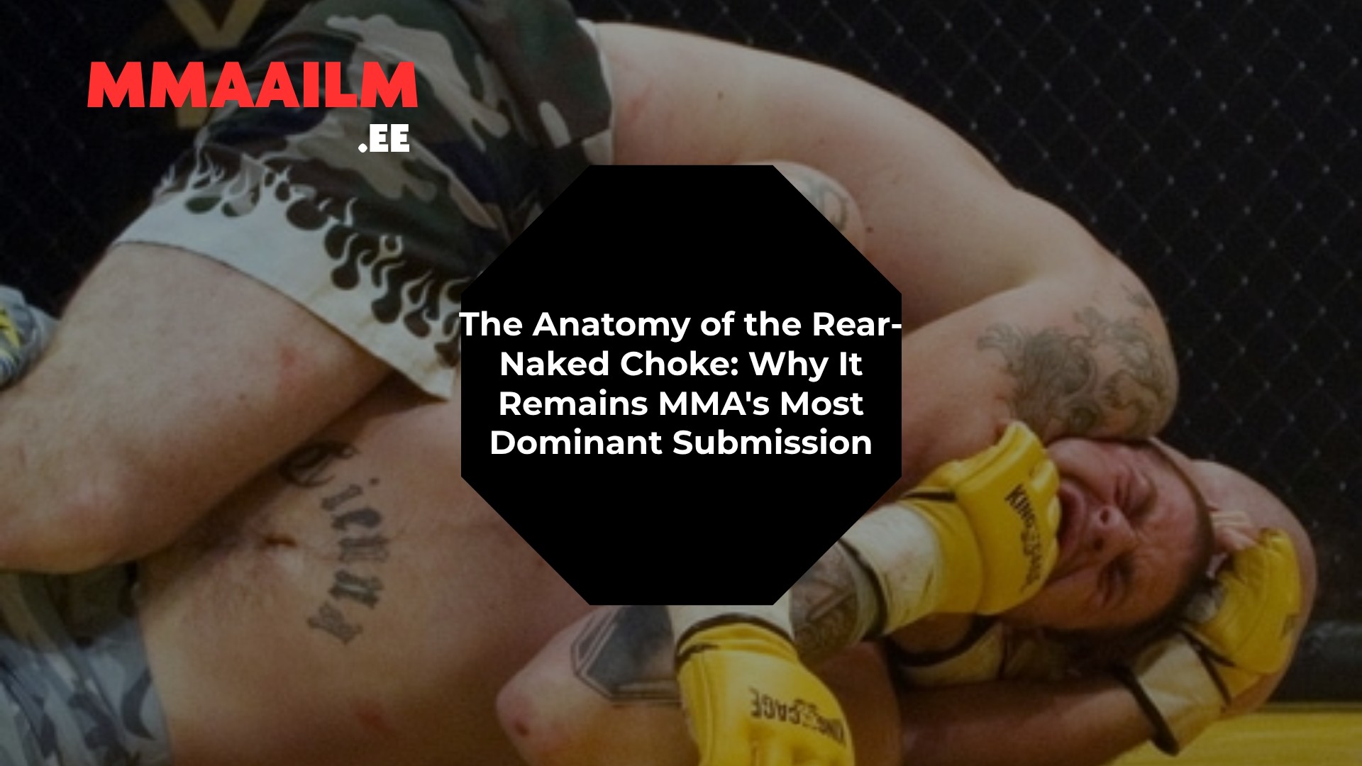 The Anatomy of the Rear-Naked Choke: Why It Remains MMA's Most Dominant Submission